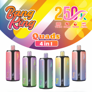 Bang King 250000 Puffs 4-in-1 Vape - Ultra High Capacity | Mesh Coil | Type-C Rechargeable